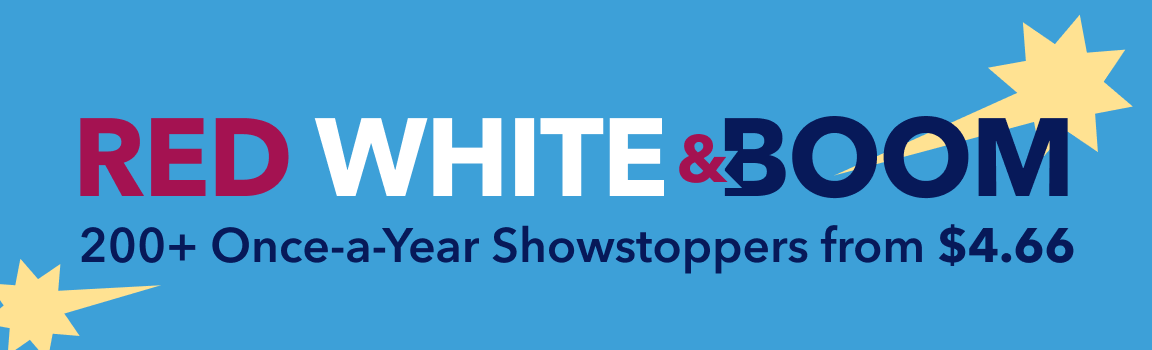 July 4th Blowout Sale 2025